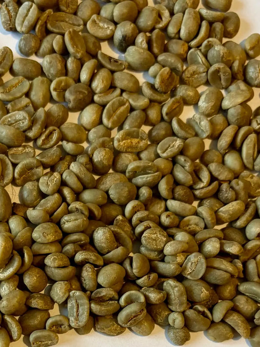 Coffee Market Outlook 2026: What Buyers Should Expect on Price, Supply, and Risk CaAmo Coffee