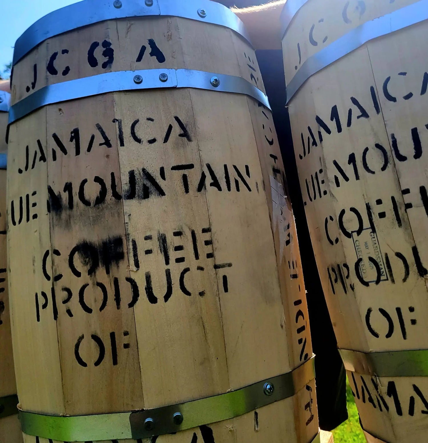 Specialty-Coffee-Beans CaAmo Coffee