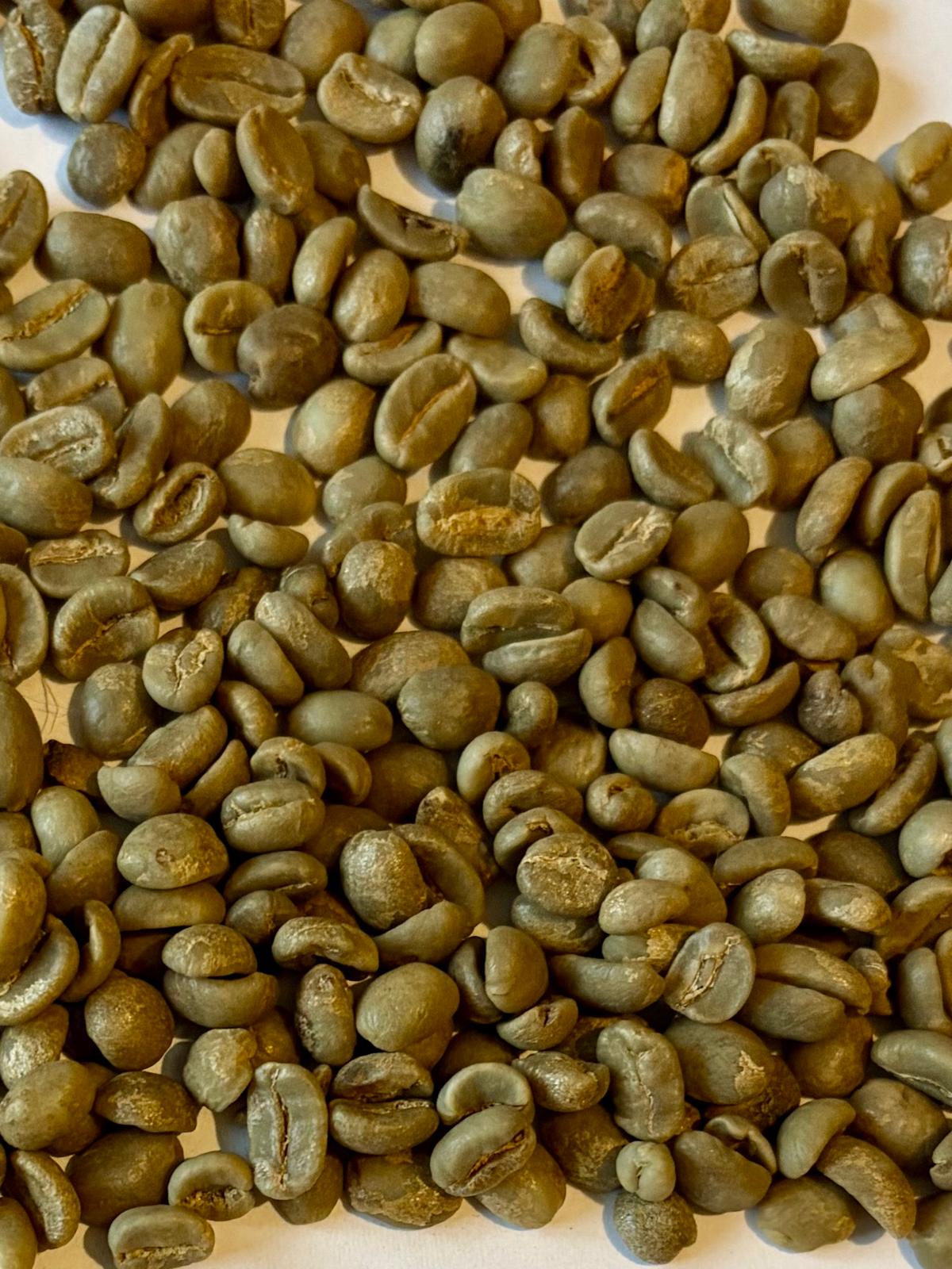 Green Coffee Beans
