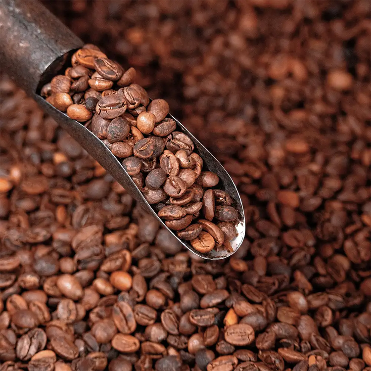 roasted-coffee-beans-supplier-caamo-coffee