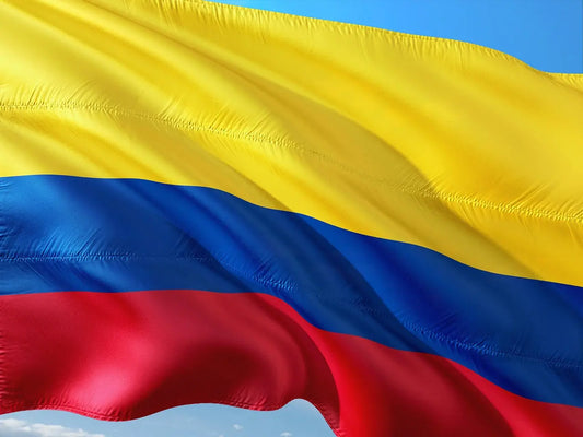 Colombia Excelso EP - Green Coffee Beans, 70 kg CaAmo Coffee