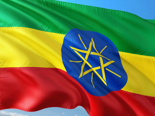 Ethiopia Djimmah — Green Coffee Beans, 60 kg CaAmo Coffee